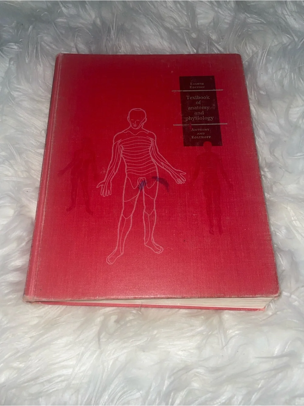 Textbook of Anatomy and Physiology (8th Edition)